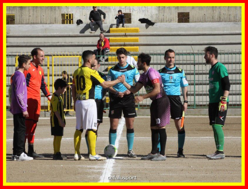 190310 Cephal_Torrenov 032_tn.jpg